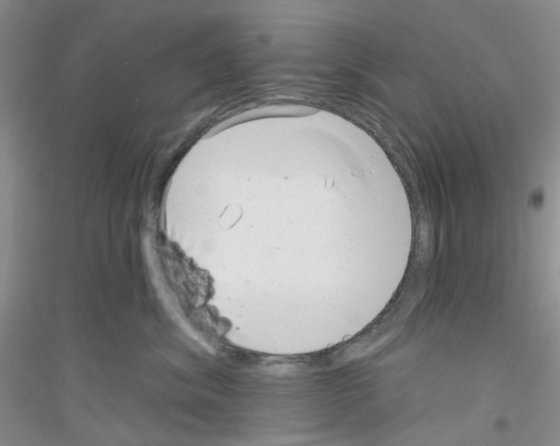 X0000116890620201002021210