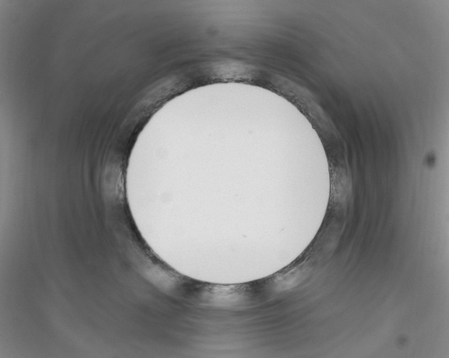 X0000116890622201002021210