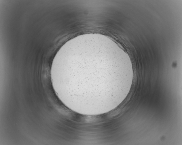 X0000116890623201002021210