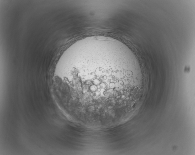 X0000116890624201002021210