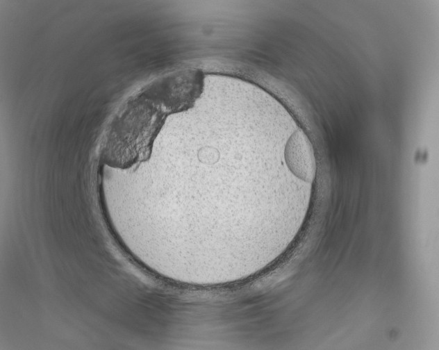 X0000116890625201002021210