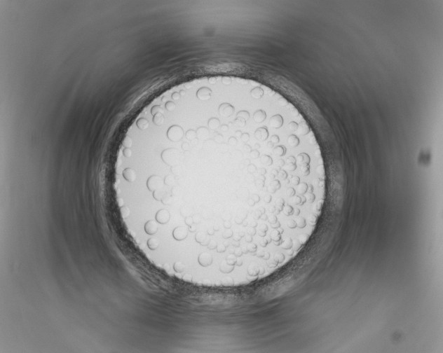 X0000116890626201002021210