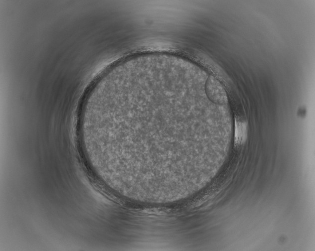 X0000116890627201002021210