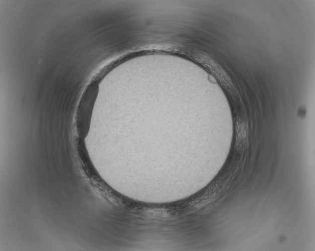 X0000116890628201002021210