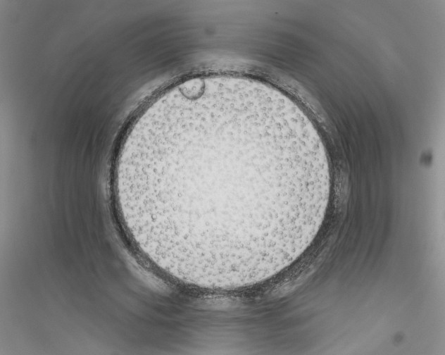 X0000116890629201002021210