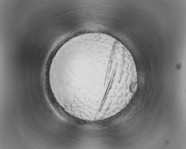 X0000116890630201002021210