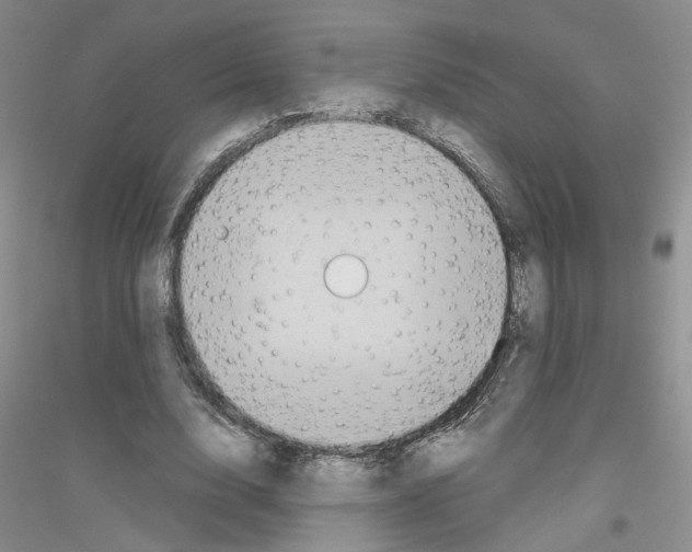 X0000116890632201002021210