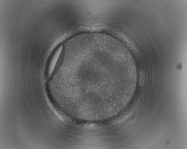 X0000116890634201002021210