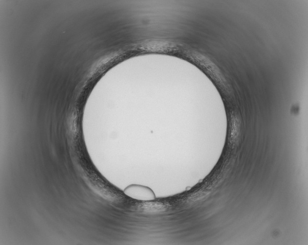 X0000116890636201002021210