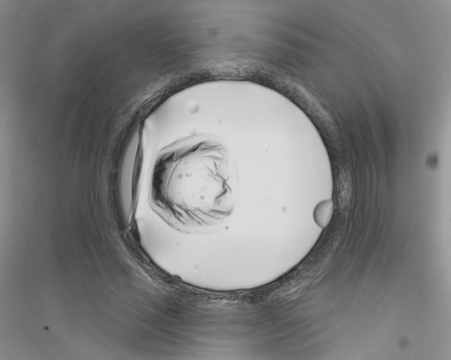 X0000116890637201002021210