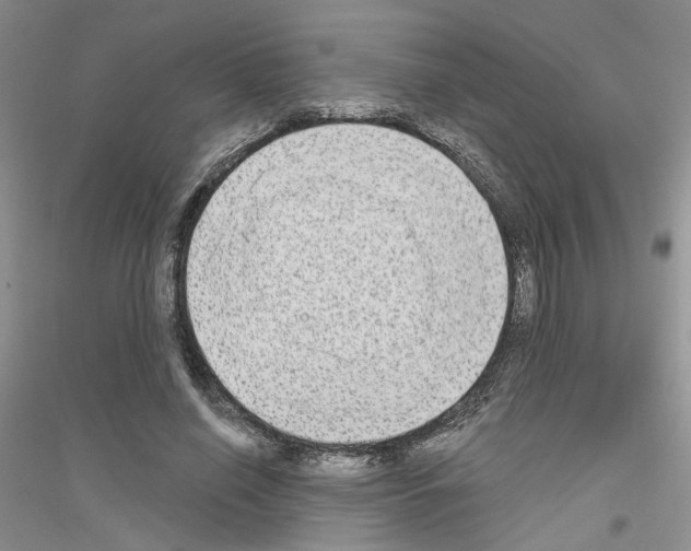 X0000116890638201002021210