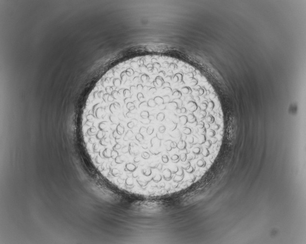 X0000116890639201002021210