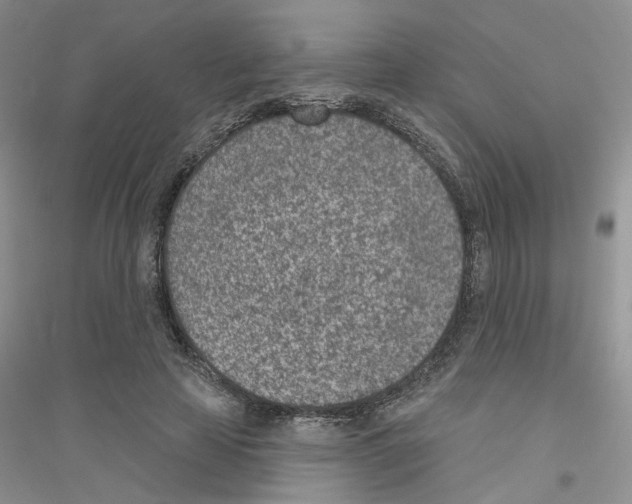 X0000116890641201002021210