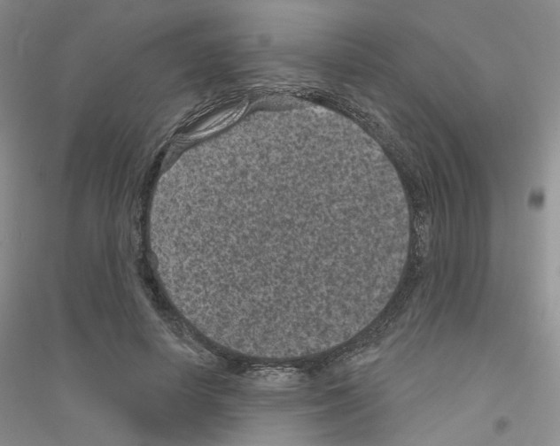 X0000116890642201002021210