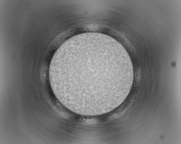 X0000116890645201002021210