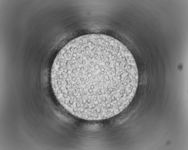 X0000116890646201002021210