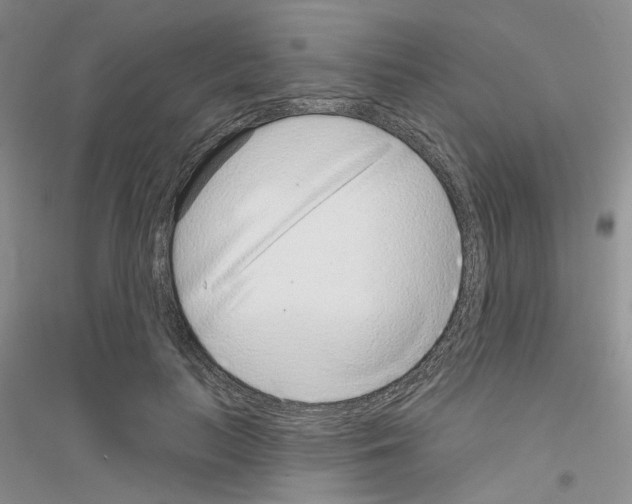 X0000116890647201002021210