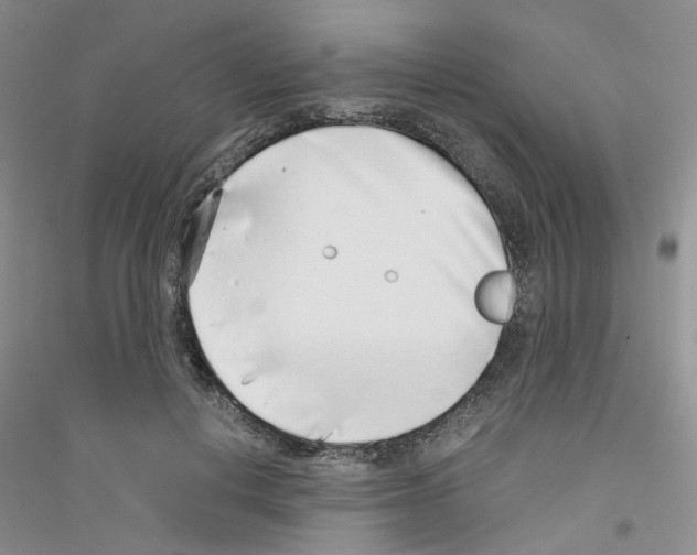 X0000116890648201002021210