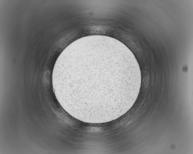 X0000116890649201002021210