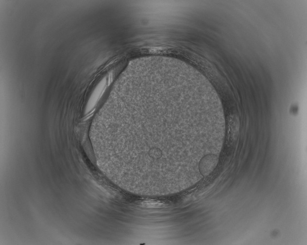 X0000116890650201002021210