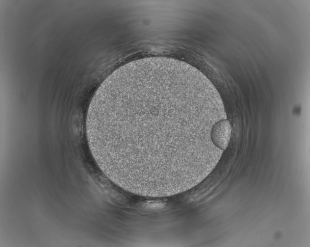 X0000116890651201002021210