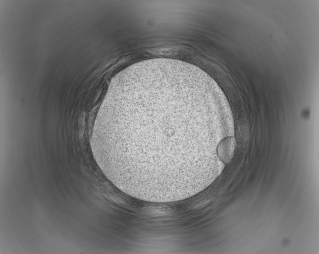 X0000116890652201002021210