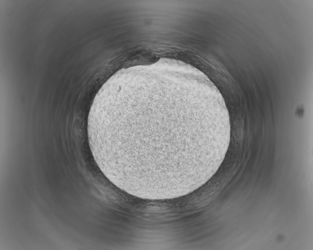 X0000116890653201002021210