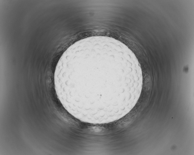 X0000116890654201002021210