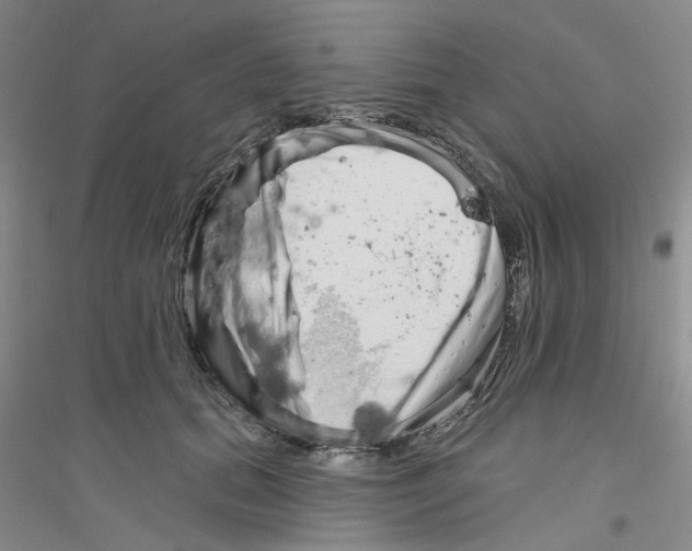 X0000116890655201002021210