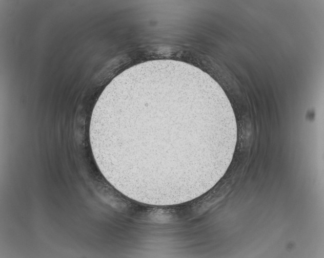 X0000116890656201002021210