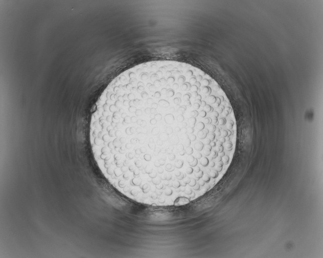 X0000116890658201002021210