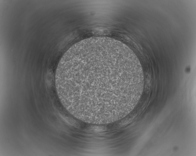 X0000116890659201002021210