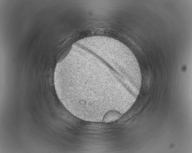 X0000116890661201002021210