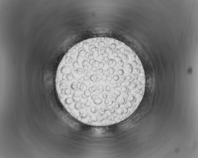 X0000116890662201002021210