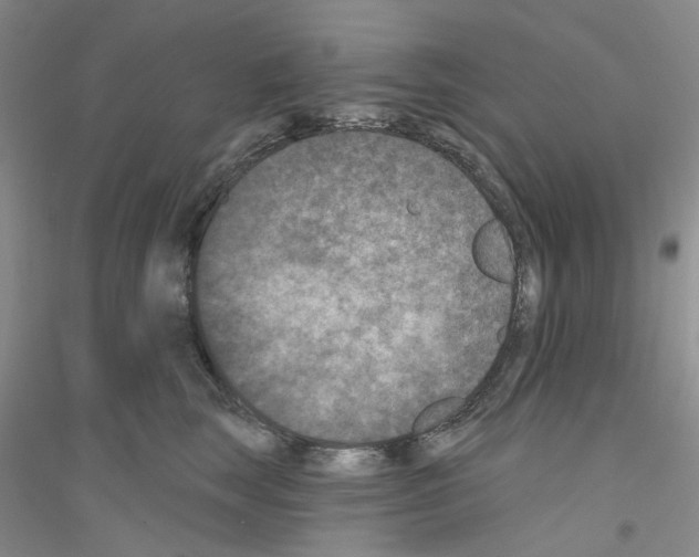 X0000116890663201002021210