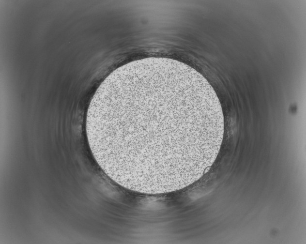 X0000116890664201002021210