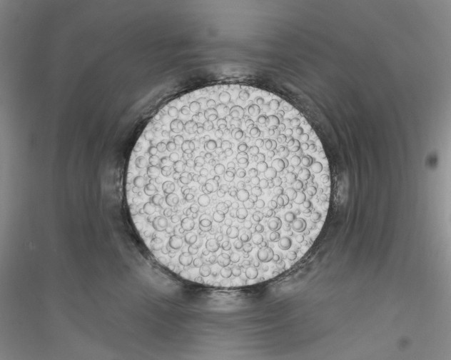 X0000116890666201002021210