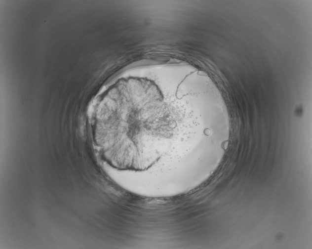 X0000116890669201002021210