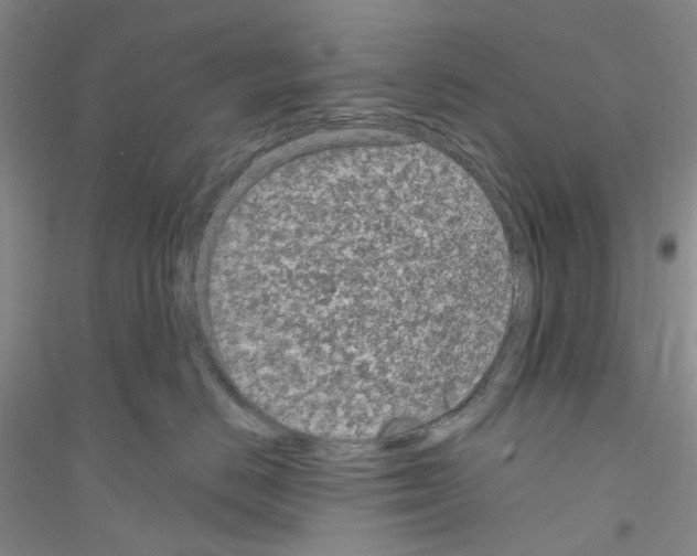 X0000116890670201002021210