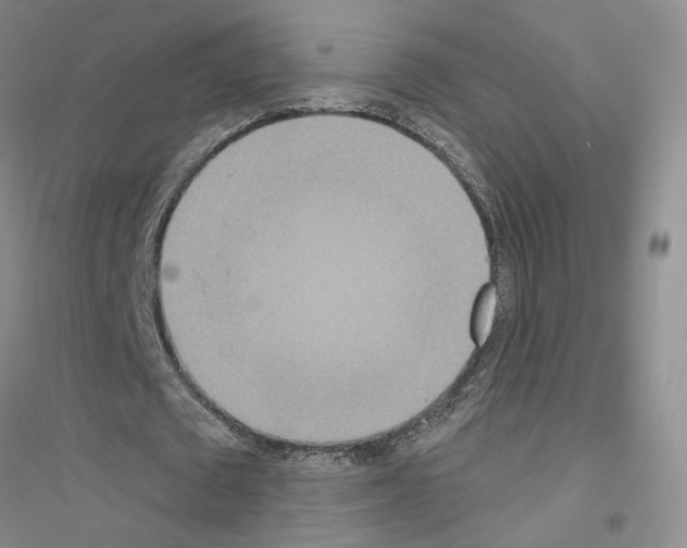 X0000116890673201002021210