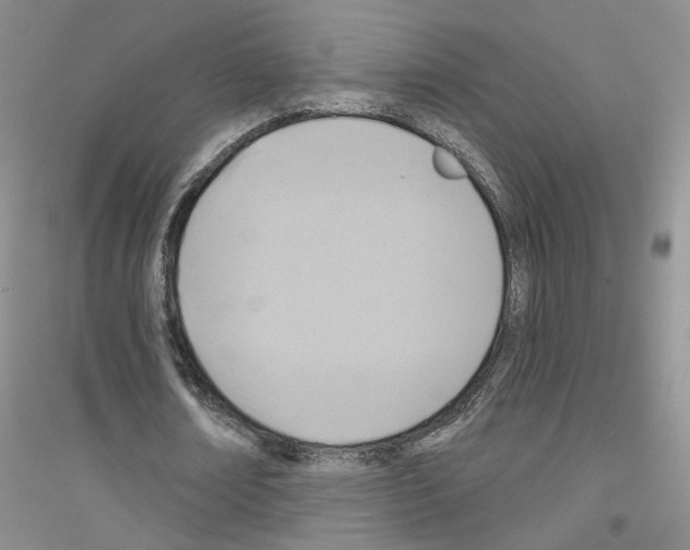 X0000116890674201002021210