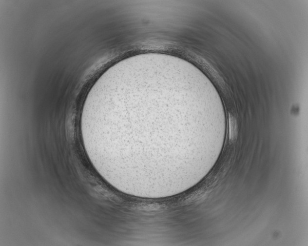 X0000116890675201002021210