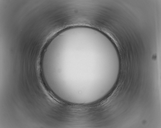 X0000116890677201002021209