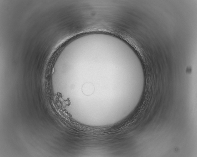 X0000116890680201002021209