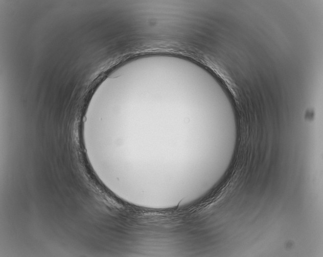 X0000116890681201002021209