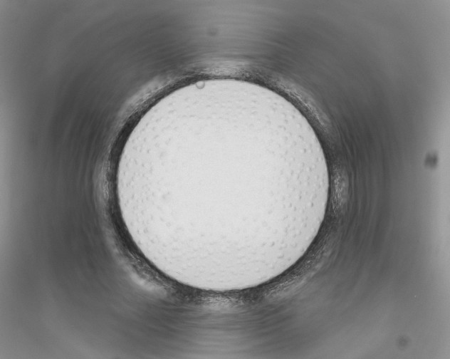 X0000116890682201002021209