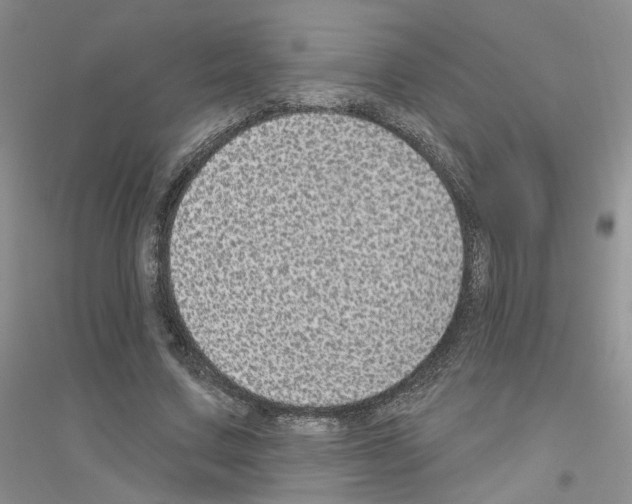 X0000116890683201002021209