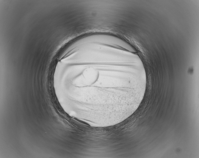 X0000116890684201002021209