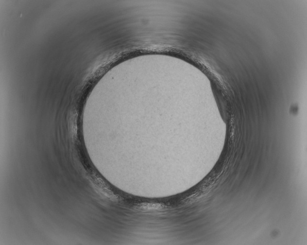 X0000116890685201002021209