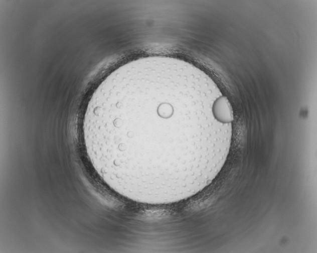 X0000116890686201002021209